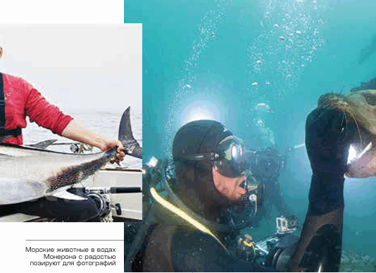 Чем славится Сахалин?